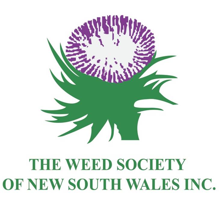 Weed Society Website